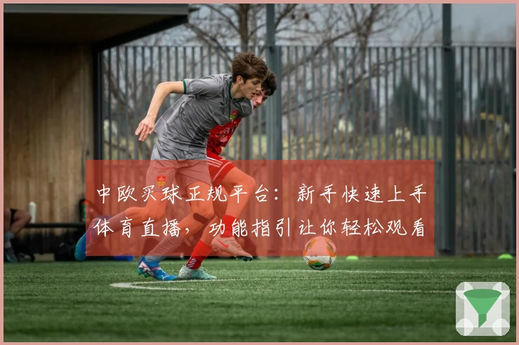 中欧买球正规平台：新手快速上手体育直播，功能指引让你轻松观看